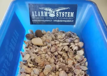 Spiagge sarde depredate, turisti Vercelli fermati con conchiglie