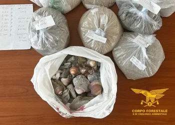Tutela delle coste. Sequestrati 20 kg di sabbia e conchiglie