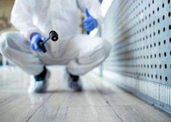 Quartu, il 31 luglio trattamento di deblattizzazione in alcune vie del centro città