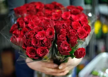 E’ Made in Italy il 5,2% di piante e fiori esportati nel mondo