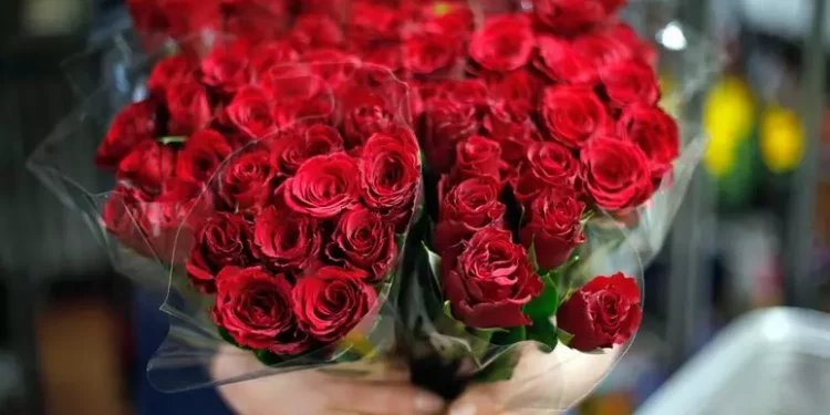 E’ Made in Italy il 5,2% di piante e fiori esportati nel mondo