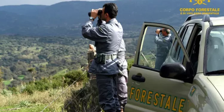Gattino gettato dal ponte, denunciati i due ragazzini: parte anche petizione per inasprire pene