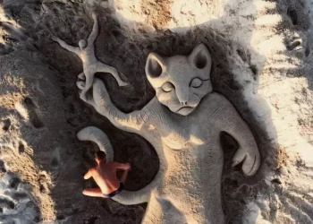 Gattino giù dal ponte, scultura di sabbia in spiaggia Sassari