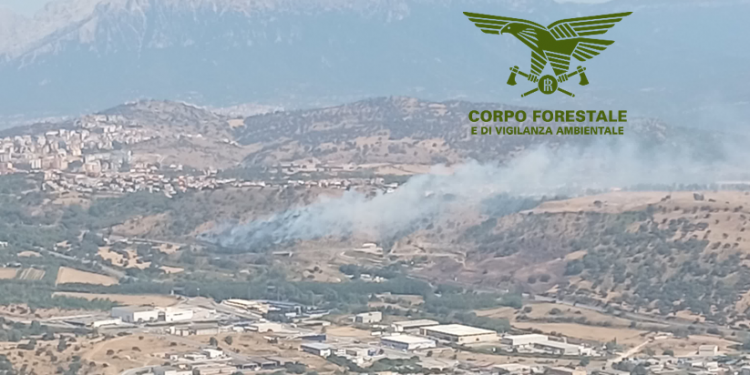 Incendi in Sardegna, 9 nelle ultime 24 ore
