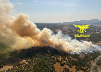 Inferno di fuoco in Sardegna, 15 incendi vastissimi in tutta l’isola