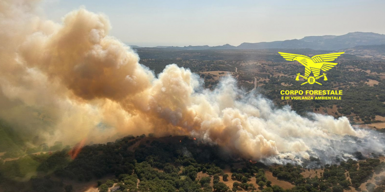 Inferno di fuoco in Sardegna, 15 incendi vastissimi in tutta l’isola