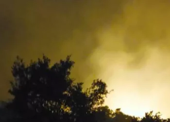 Sale bilancio incendio nel Nuorese, oltre 1000 ettari in fumo