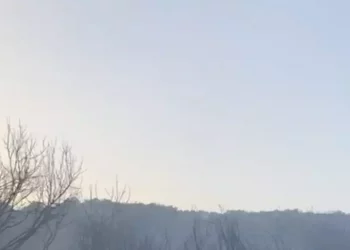 Incendi Nuorese, danni per migliaia di euro e aziende distrutte