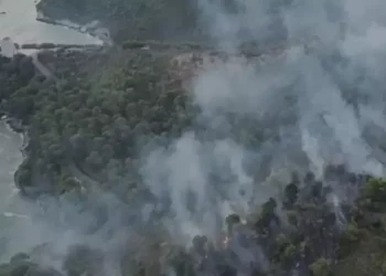 Incendio Vieste, disposta l’evacuazione di un residence con 1.200 turisti