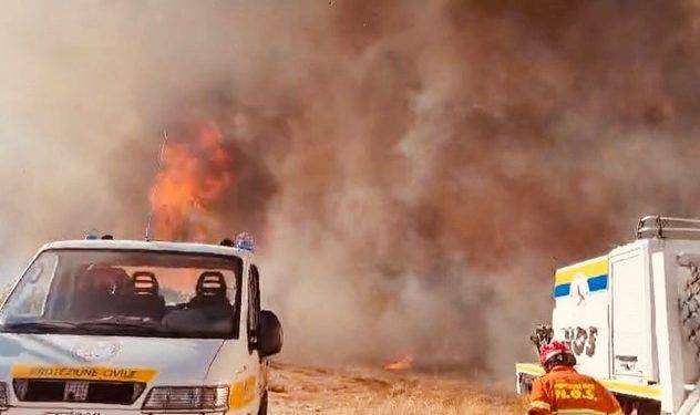 Nuovo incendio a Quartu, fiamme nel Parco di Molentargius