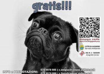 Microchippatura gratuita ad Alghero: ecco quando