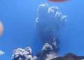Nuova esplosione sullo Stromboli, nube sull’isola