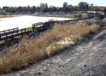 Cagliari, chiuso la mattina di martedì 30 luglio 2024 il punto di ristoro del parco di Terramaini