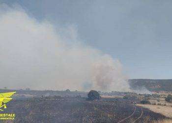 Incendio devastante a Usellus, in azione 4 canadair