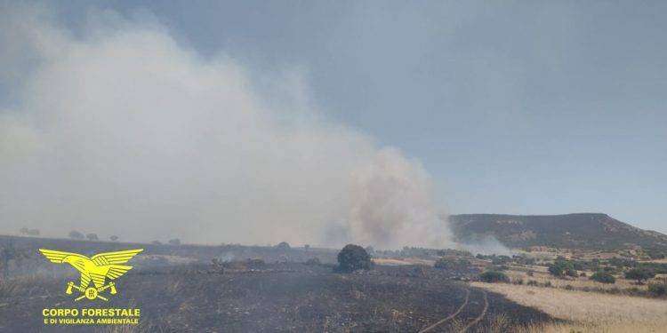 Incendio devastante a Usellus, in azione 4 canadair