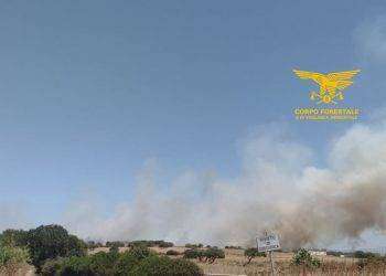 Fiamme a Usellus e Pozzomaggiore: in azione i mezzi aerei del Corpo Forestale