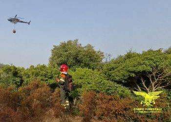 10 incendi in Sardegna nelle ultime ore