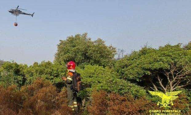 10 incendi in Sardegna nelle ultime ore