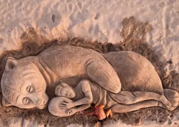 Maxi scultura sulla spiaggia di Platamona in Sardegna per l’orsa Kj1