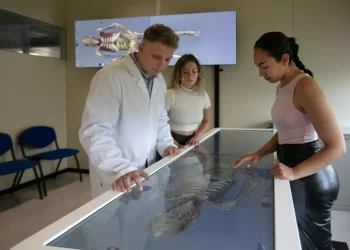 A Cagliari il corso di laurea in Medicina e Chirurgia in inglese