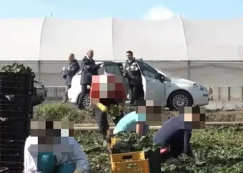 Arrestati i due caporali che schiavizzavano 33 braccianti