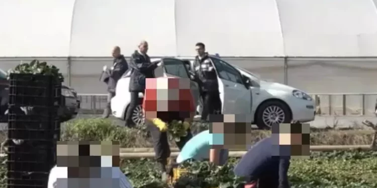 Arrestati i due caporali che schiavizzavano 33 braccianti