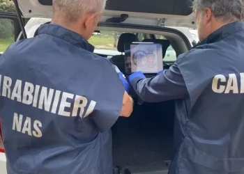 Anabolizzanti in palestre Sassari, controlli dei Nas in 2 locali