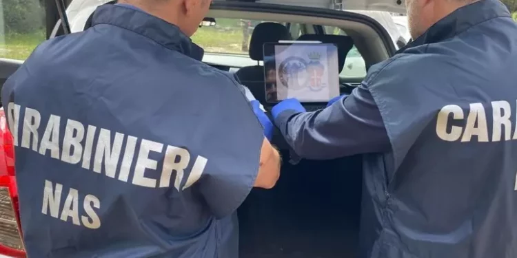 Anabolizzanti in palestre Sassari, controlli dei Nas in 2 locali
