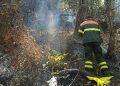 15 incendi in Sardegna nelle ultime ore
