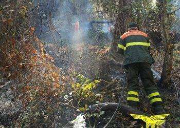 15 incendi in Sardegna nelle ultime ore