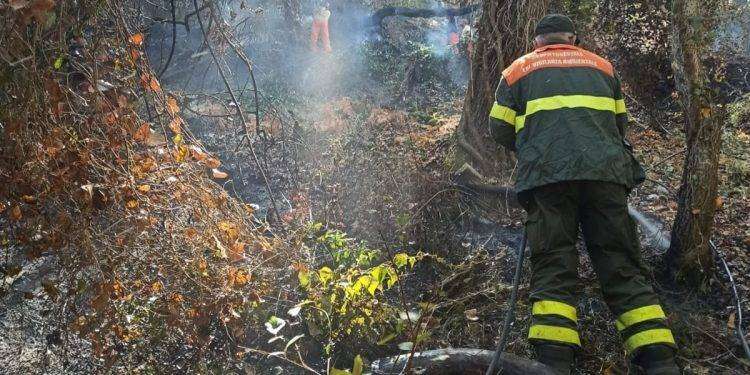 15 incendi in Sardegna nelle ultime ore