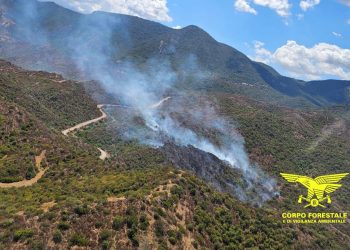 11 incendi in Sardegna nelle ultime ore