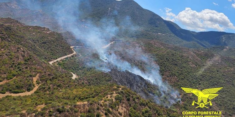 11 incendi in Sardegna nelle ultime ore