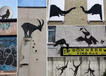 A Londra compare la quinta opera dello zoo di Banksy, i pellicani
