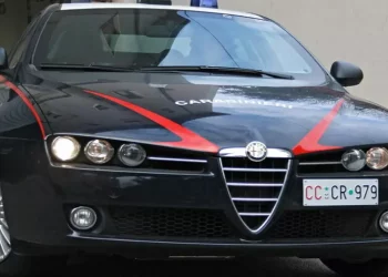 Canile con 120 animali, denutriti e in pessima salute, 2 denunce