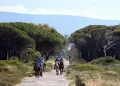 Cavalli da tutto il mondo ad Arborea per Sardegna Endurance