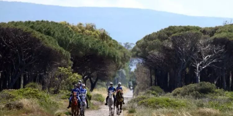 Cavalli da tutto il mondo ad Arborea per Sardegna Endurance