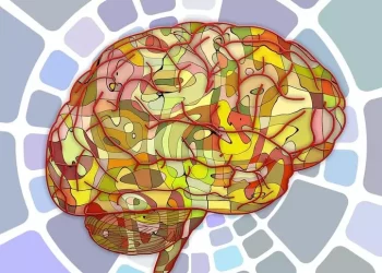 I cinque modi in cui il cervello invecchia