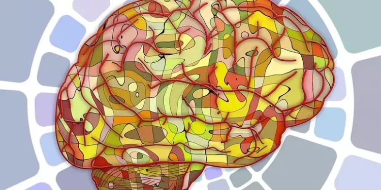 I cinque modi in cui il cervello invecchia