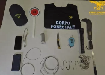 Uccidono con una roncola un piccolo cinghiale, denunciati