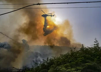 Incendi: Protezione Civile, oggi 33 richieste di intervento aereo