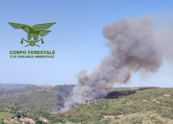 Fiamme in Sardegna, 12 incendi nell’isola nelle ultime ore