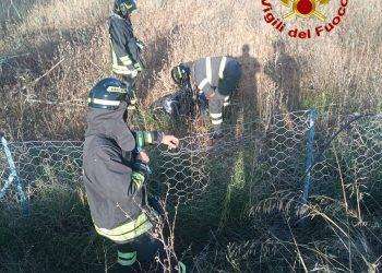 Siniscola, scontro tra auto e moto: un ferito grave