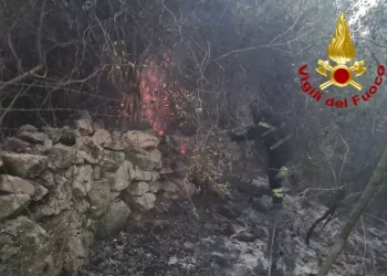 Incendi: bruciano di nuovo i boschi della Gallura