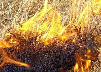 Cagliari, resta “Alto” il pericolo di incendio anche per la giornata di martedì 20 agosto 2024