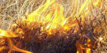 Cagliari, resta “Alto” il pericolo di incendio anche per la giornata di martedì 20 agosto 2024