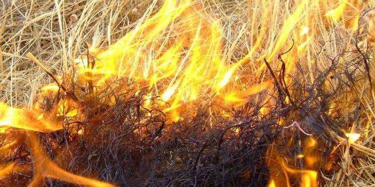 Cagliari, resta “Alto” il pericolo di incendio anche per la giornata di martedì 20 agosto 2024