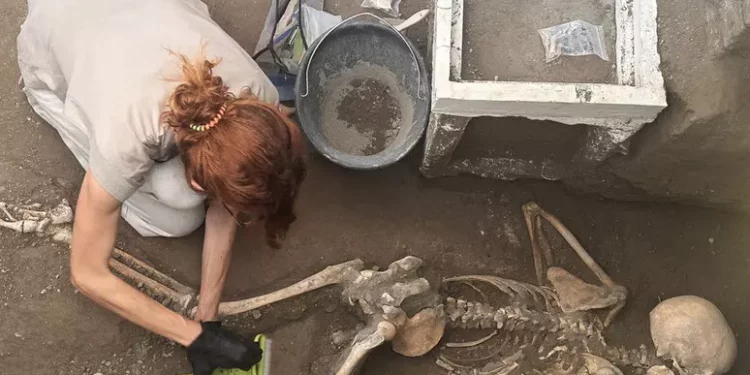 A Pompei ritrovati i resti di altre due vittime dell’eruzione