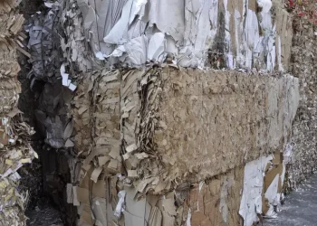 Raccolta carta e cartone, nel 2023 in Sardegna cresce del 3,2%