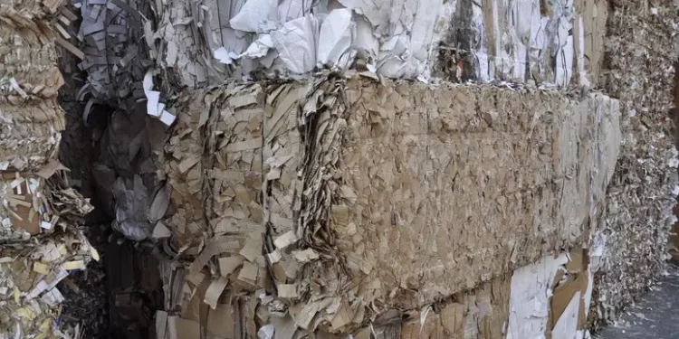 Raccolta carta e cartone, nel 2023 in Sardegna cresce del 3,2%